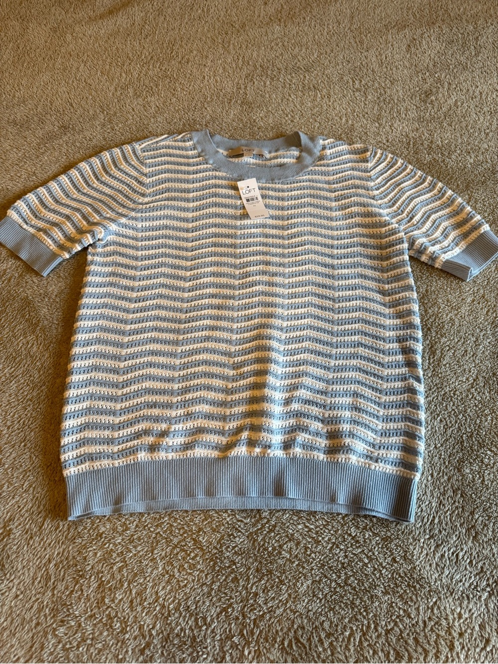 LOFT Women’s Short-Sleeve Knit Sweater in Light Blue and White - Medium NWT